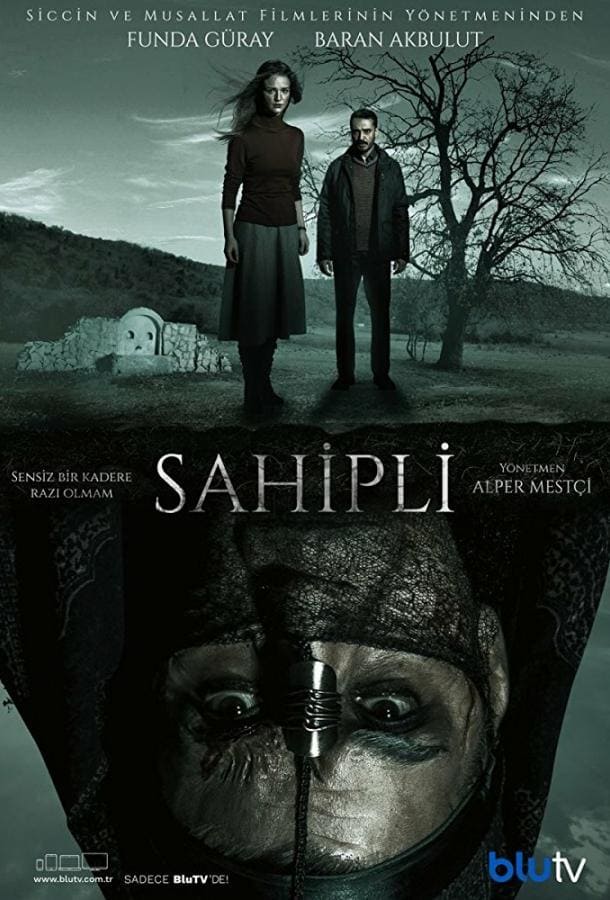 Турецкий сериал Собственник (2017)