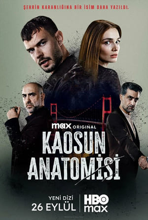 Турецкий сериал Анатомия хаоса (2025)